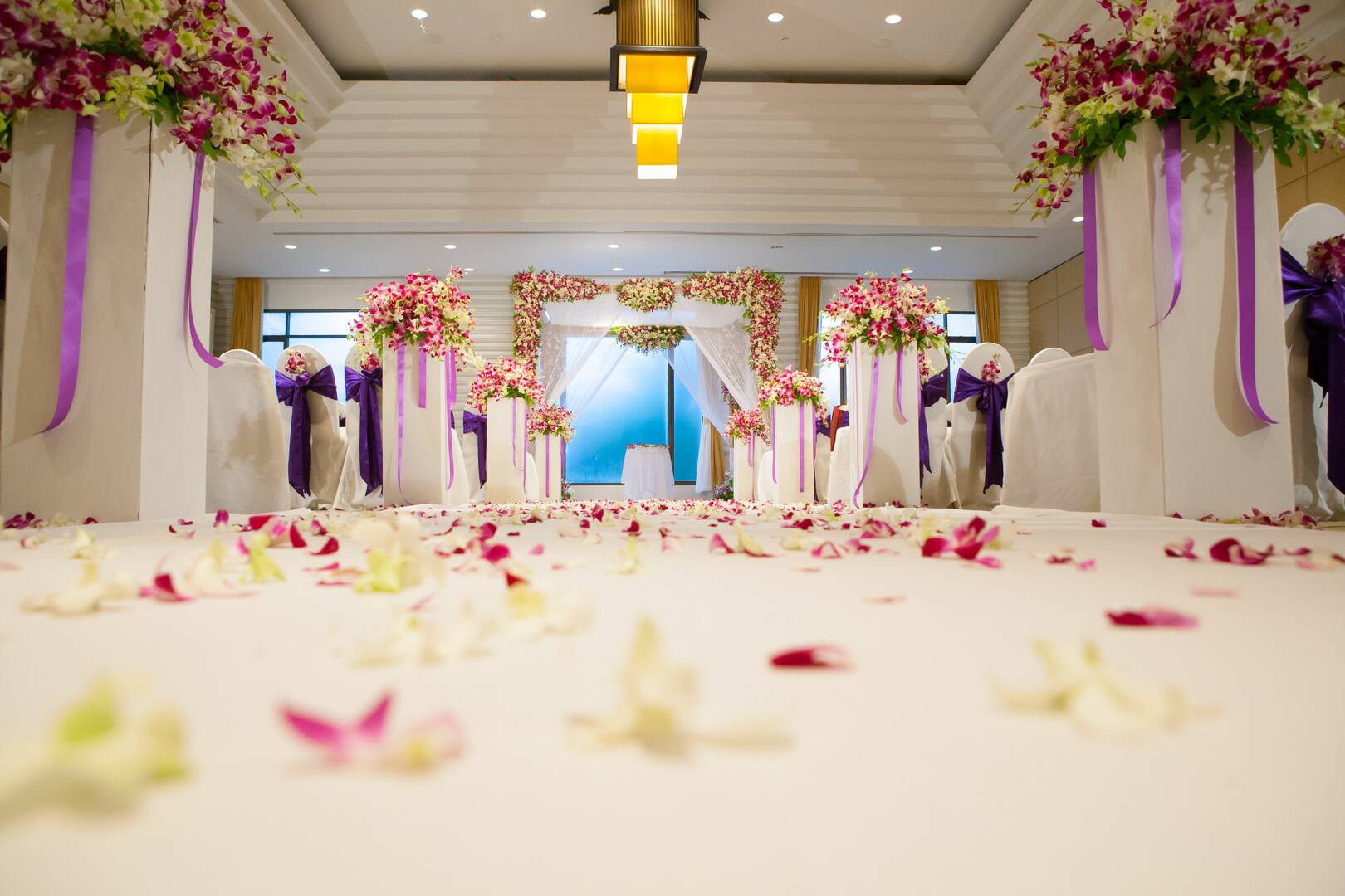 Apex Party Rentals & Services