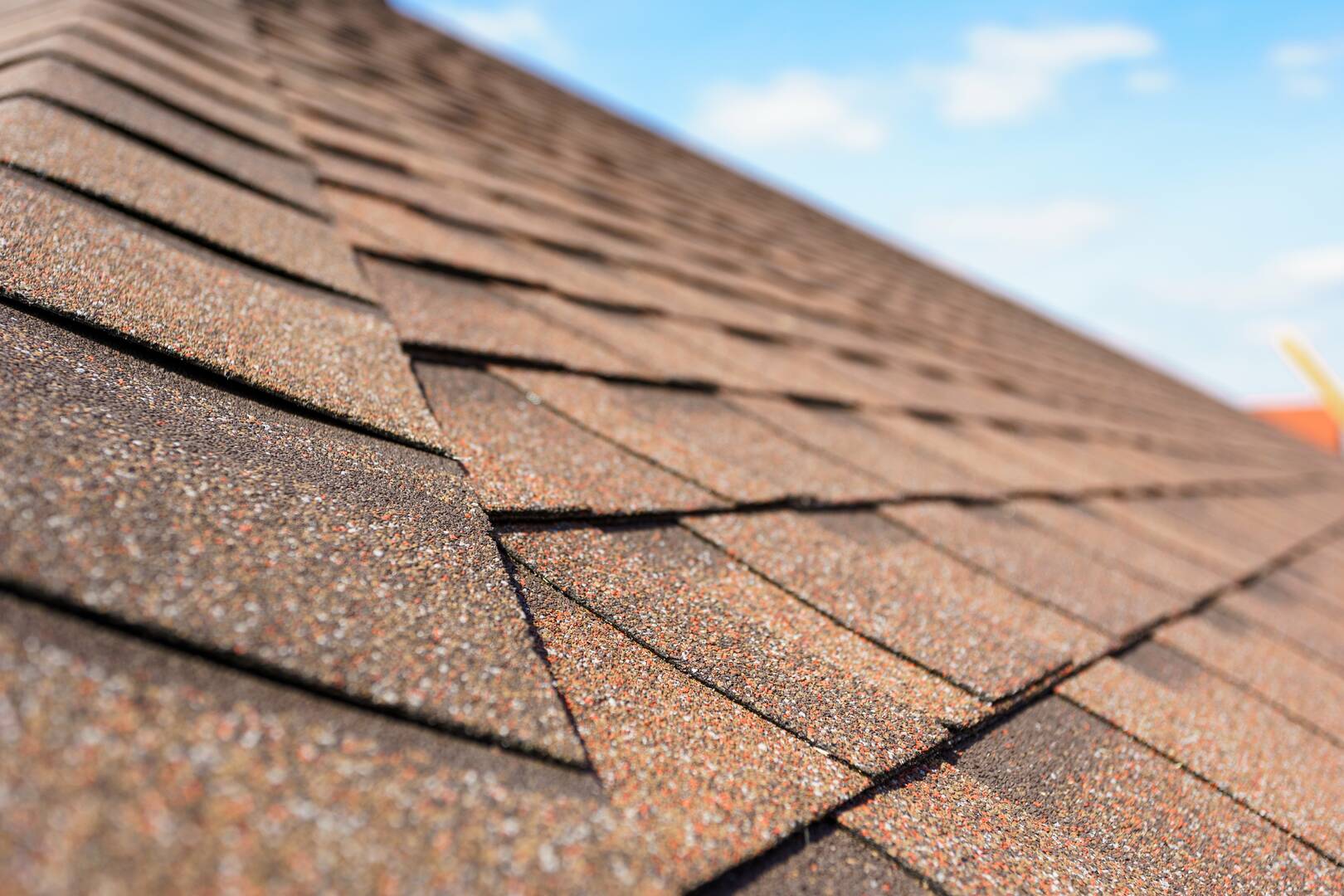 Palm & Pineapple Roofing and Exteriors